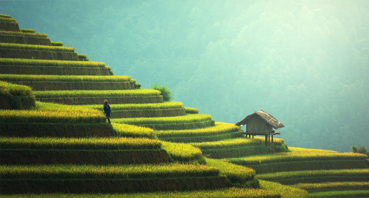 Campagna Bali