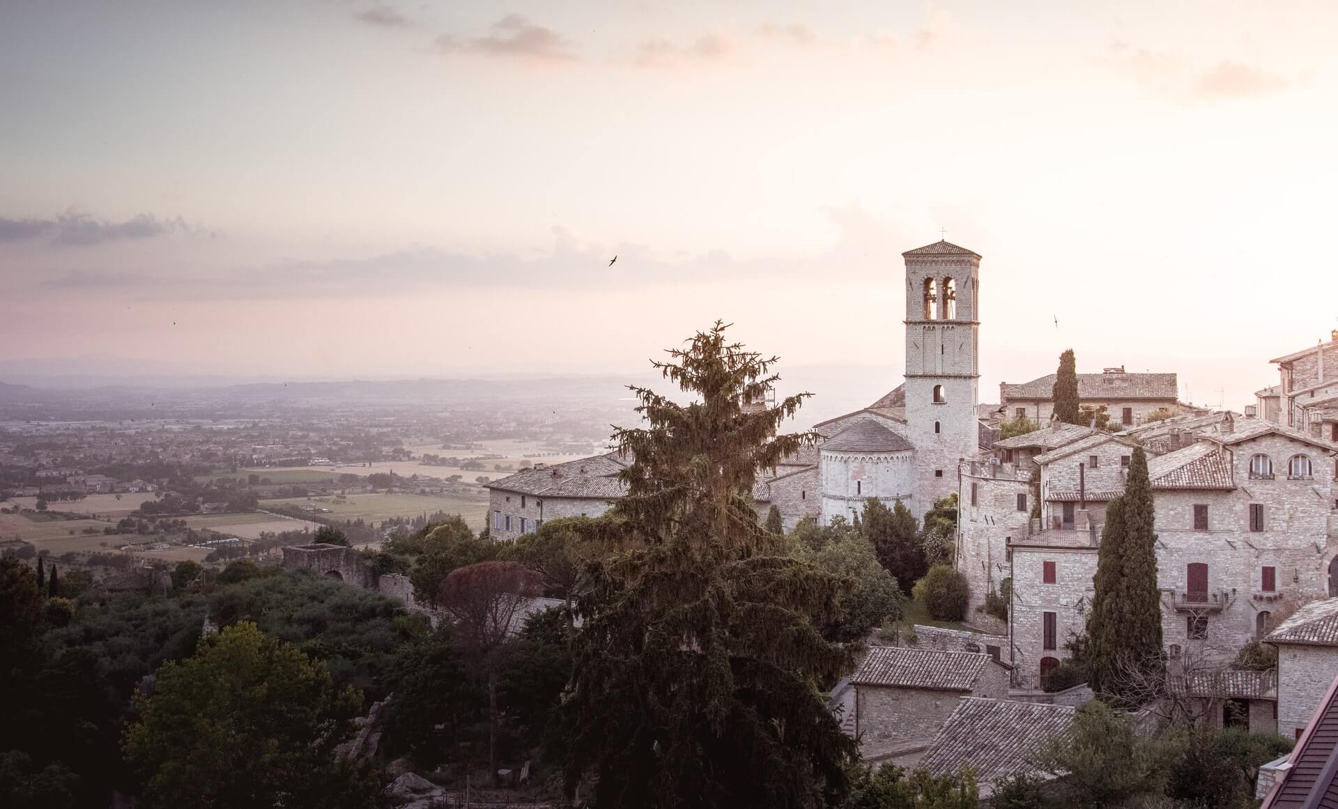 assisi