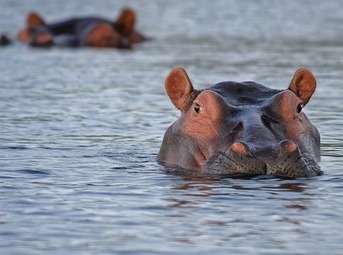 Viaggio fotografico in Sudafrica
