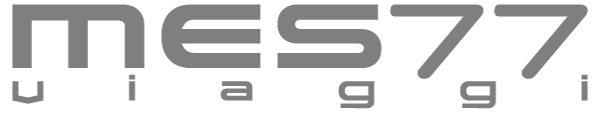 logo MESSI 77 grigio