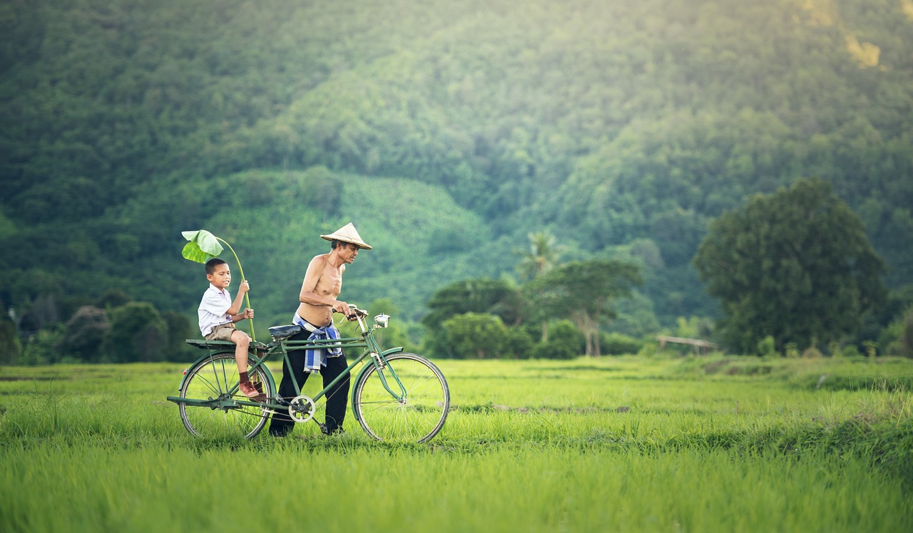 Paesaggio Cambogia