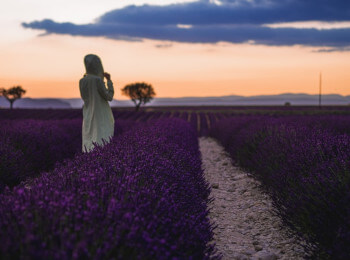 Francia, viaggio in Provenza
