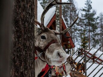 Rovaniemi ed il Villaggio di Babbo Natale